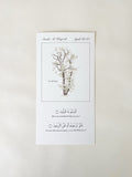 (56:63-64) mini print